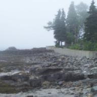 The Shore Path with fog rolling in.